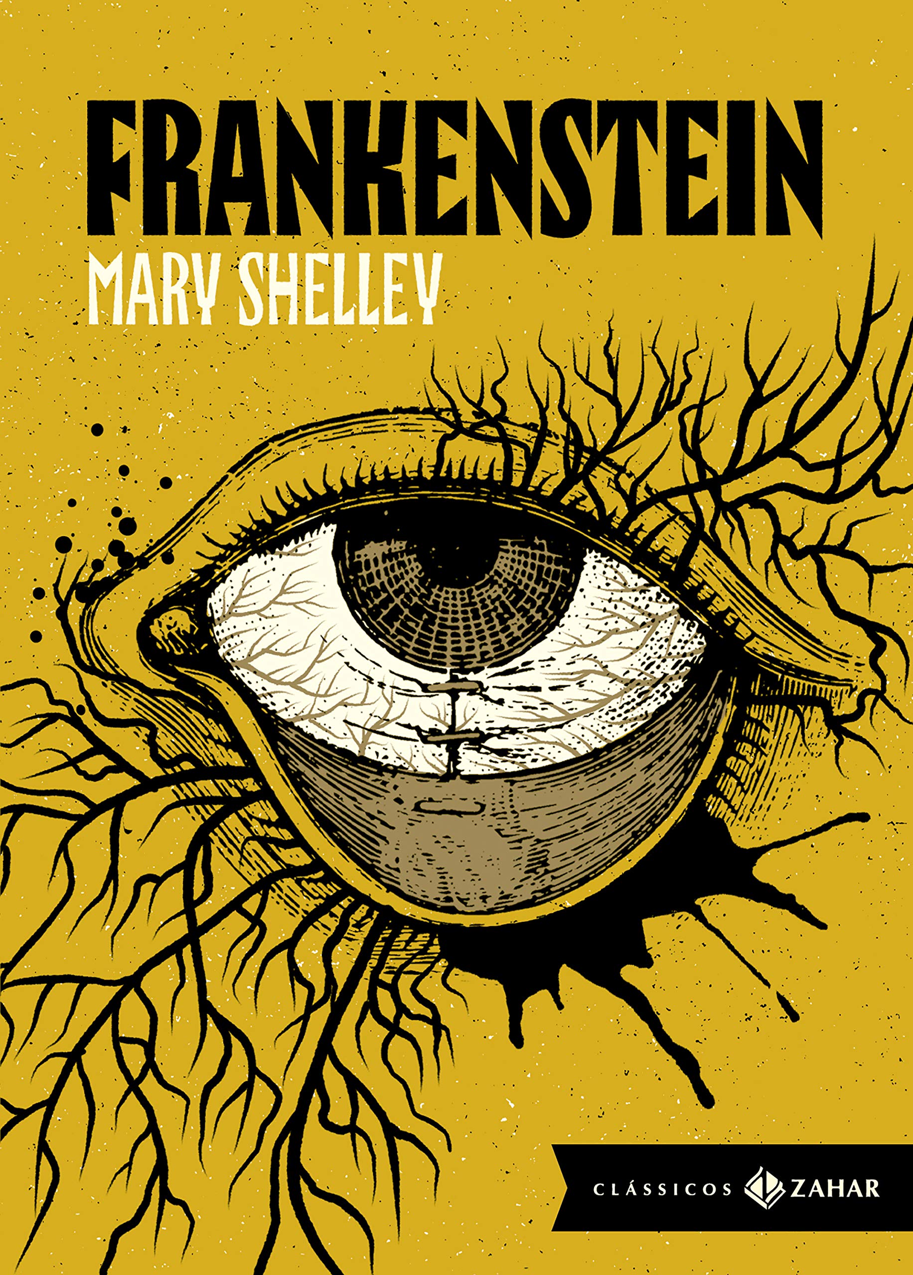 Frankenstein: edição bolso de luxo: Ou O Prometeu moderno | Amazon